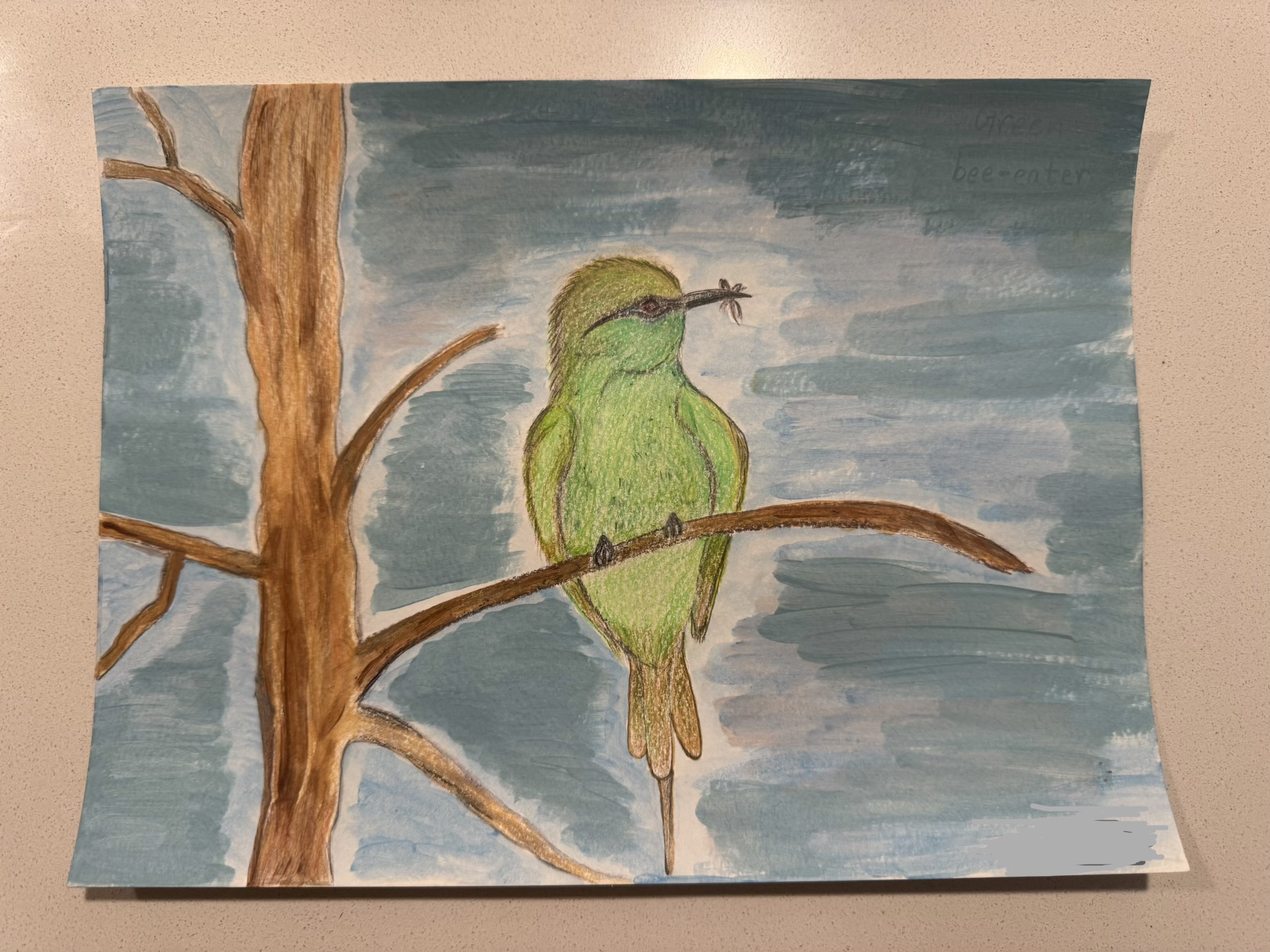 Green Bee-eater