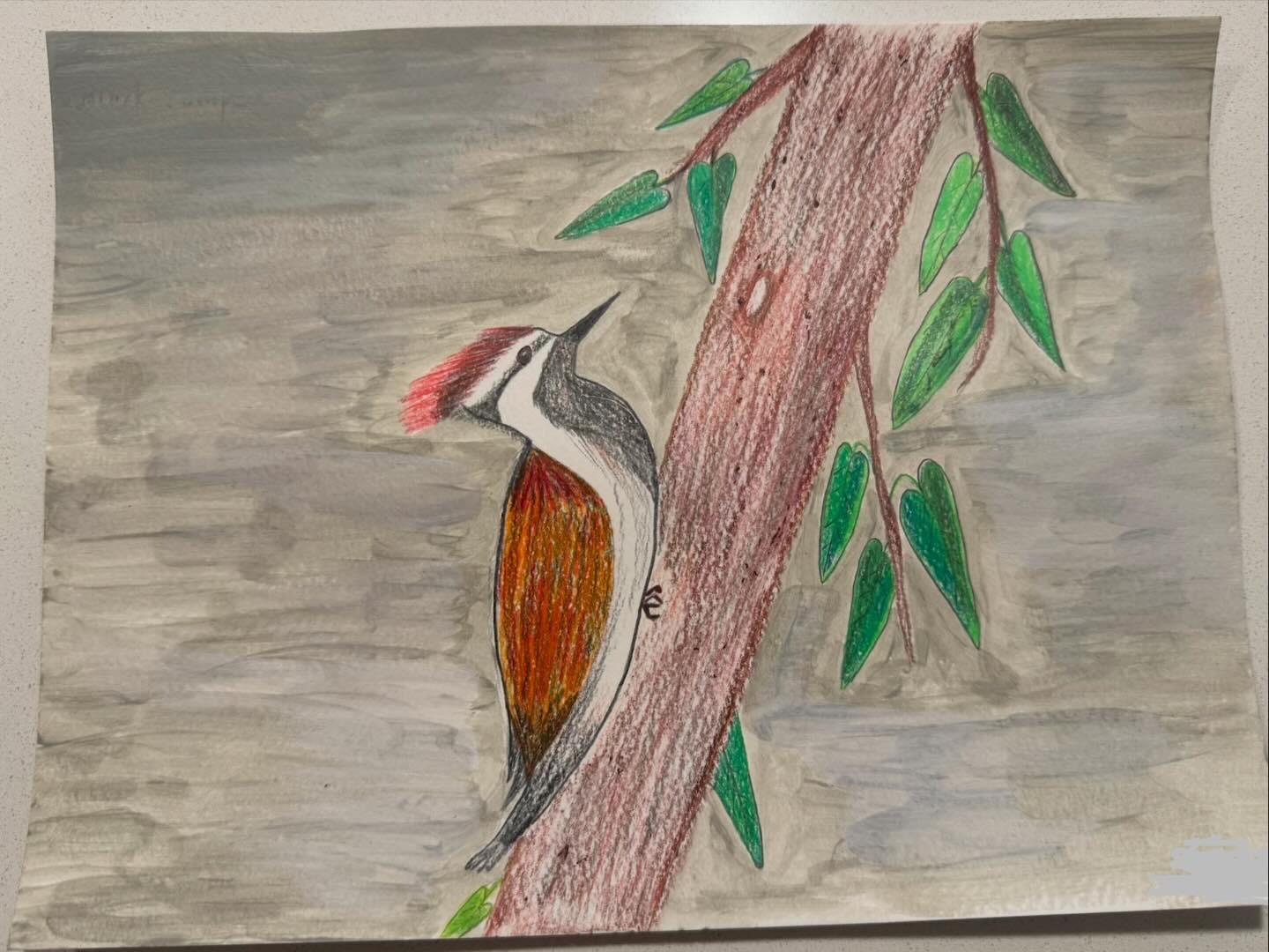 Black-rumped Flameback